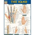 Barcharts BarCharts 9781423220220 The Hand Quickstudy Easel 9781423220220